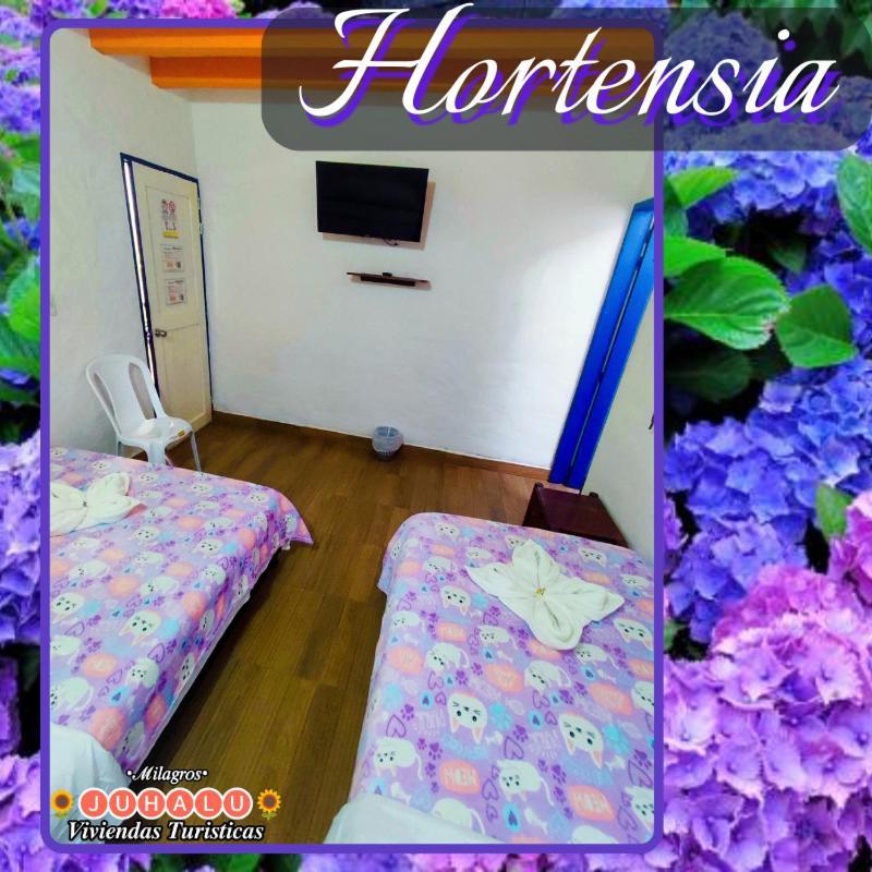 ᒍᑌᕼᗩᒪᑌ Hotel Jericoc  Szoba fotó